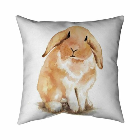 FONDO 20 x 20 in. Lop-Rabbit-Double Sided Print Indoor Pillow FO2792404